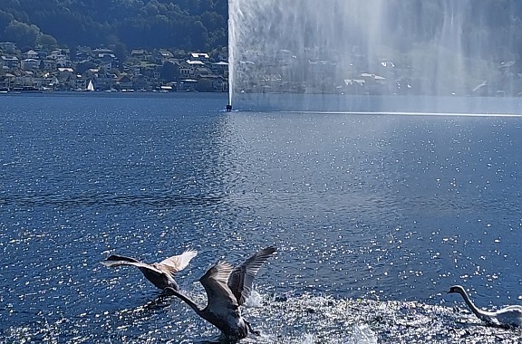Gmunden